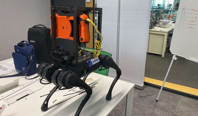 Asistan robot köpekler iş başında